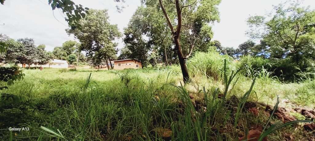 Projet Notre Santé/USAID : Damakania, donation d’un domaine par la communauté de Komoya pour la construction d’un poste de santé